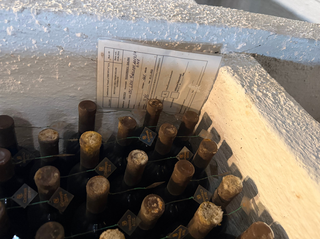 Cricova Winery-Cricova必去景点