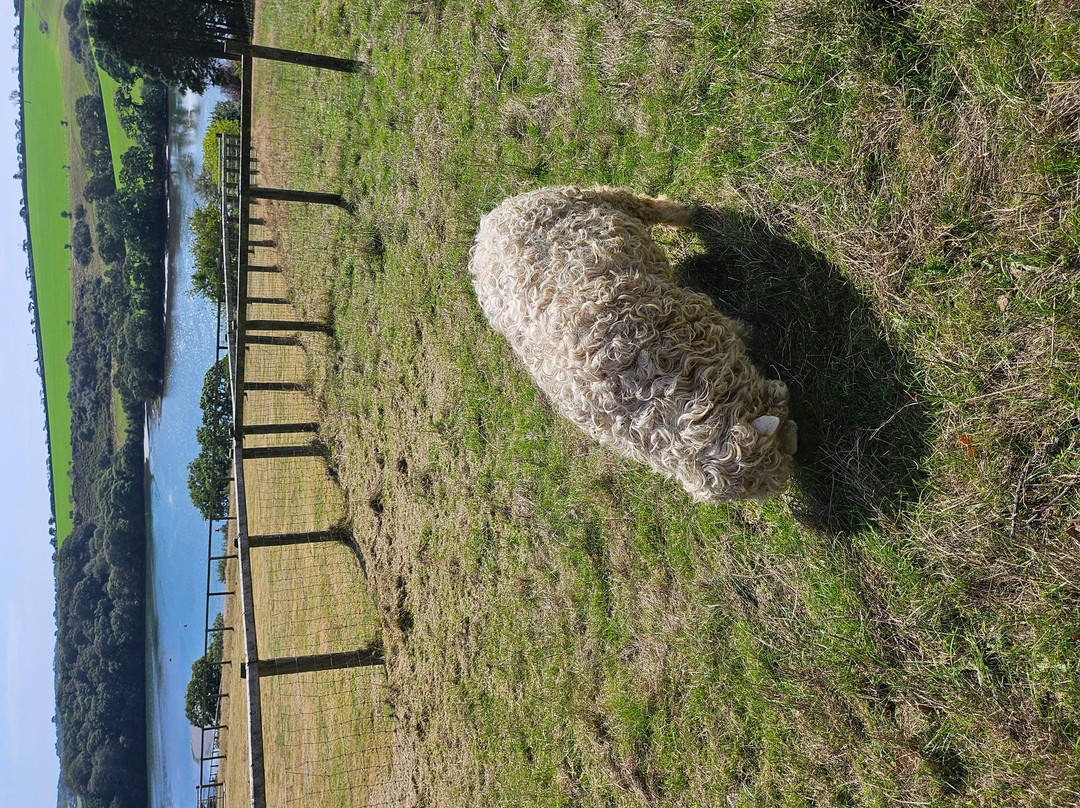 Cornish Seal Sanctuary-Gweek必去景点