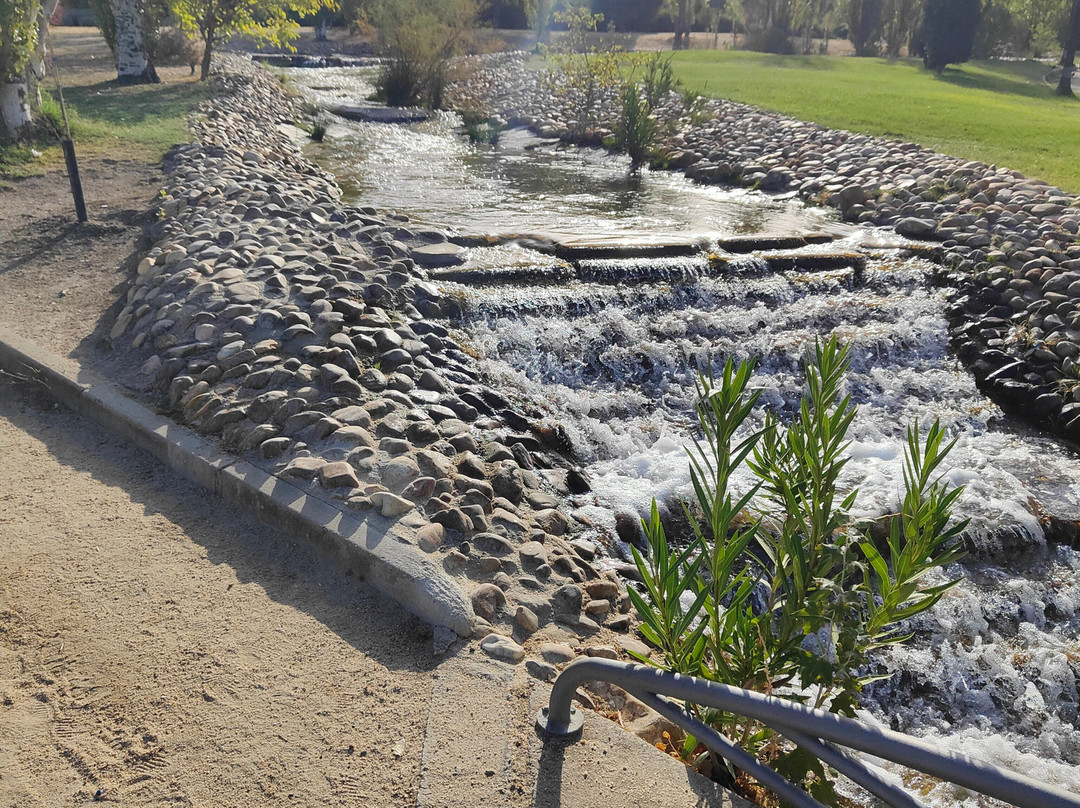 Parque Municipal Juan Carlos I-品度必去景点