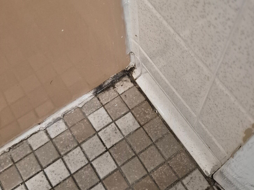 星光廉价酒店主图