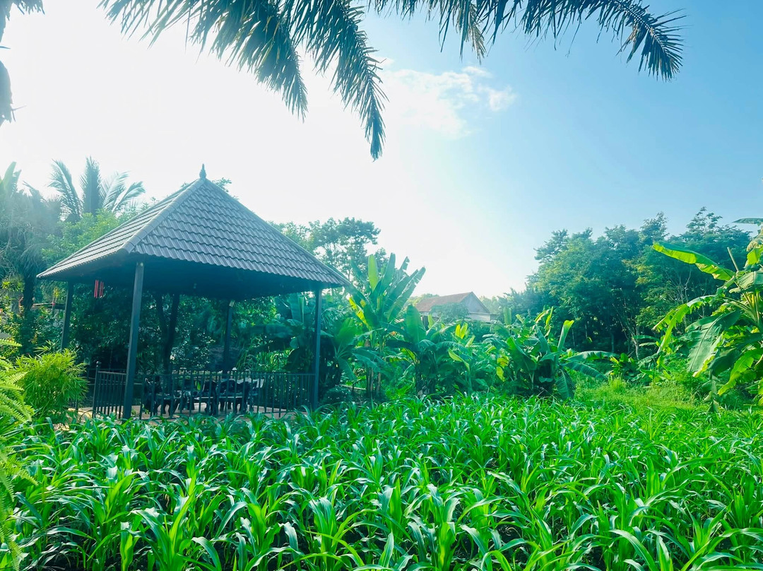 Dong Du Eco Farmstay-Nghia Thuan必去景点
