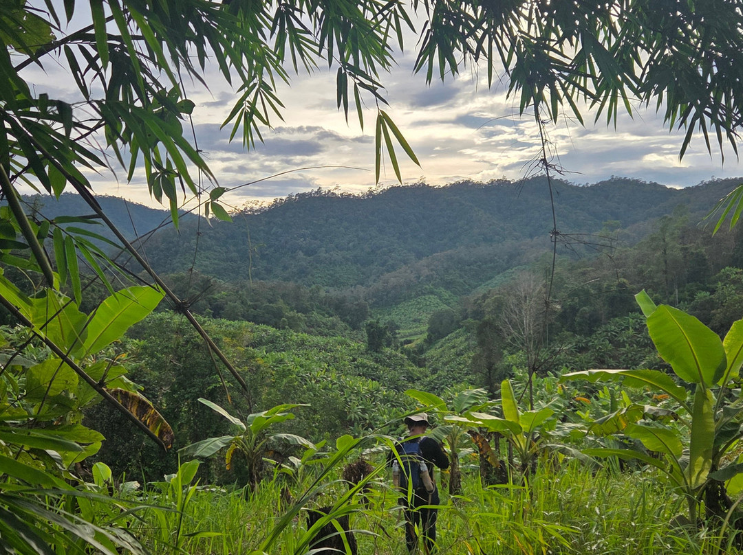 Chiang Mai Eco Trekking-清迈必去景点