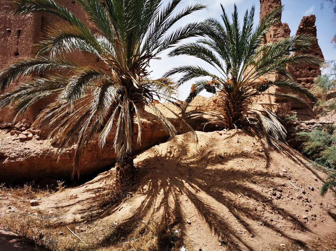 Kasbah Abdou主图