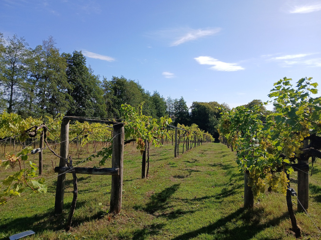 Chiltern Valley Winery & Brewery-泰晤士河畔亨利必去景点