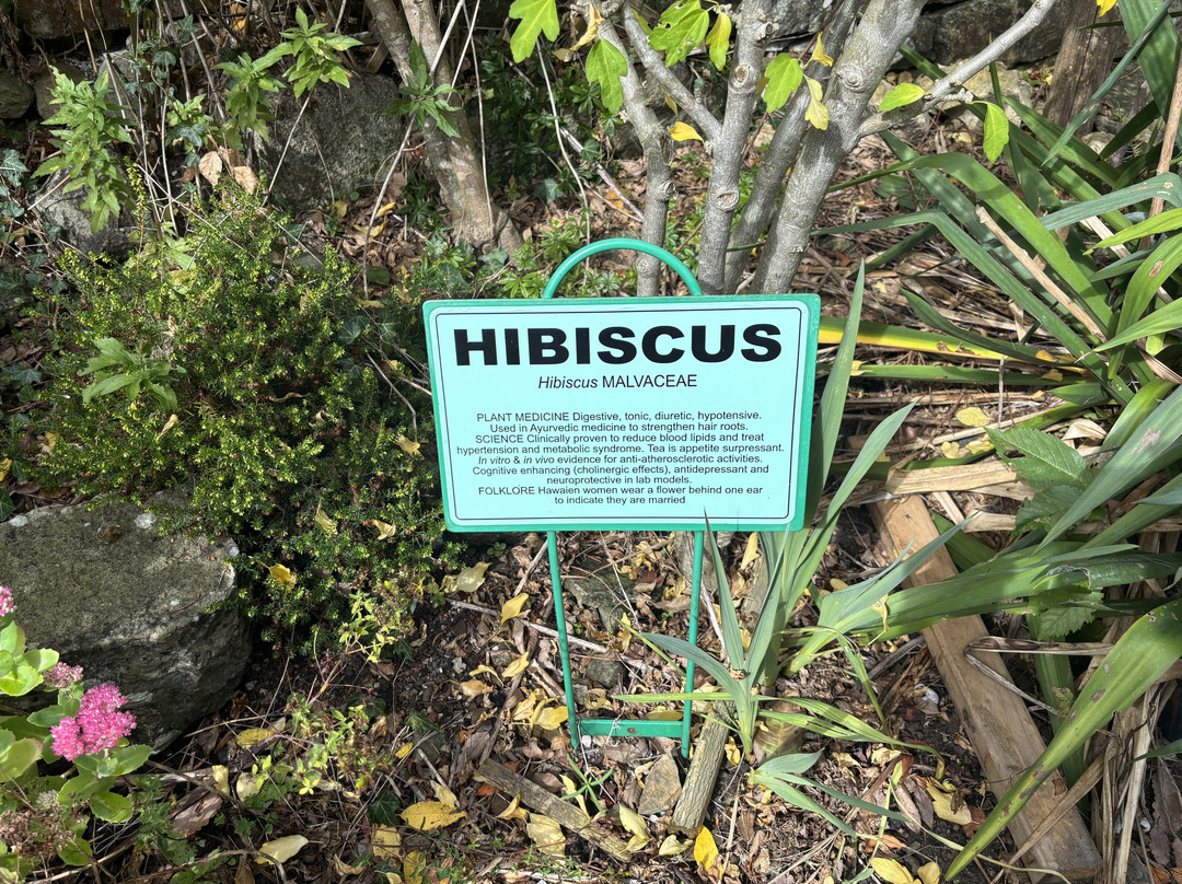 Dilston Physic Garden-Corbridge必去景点