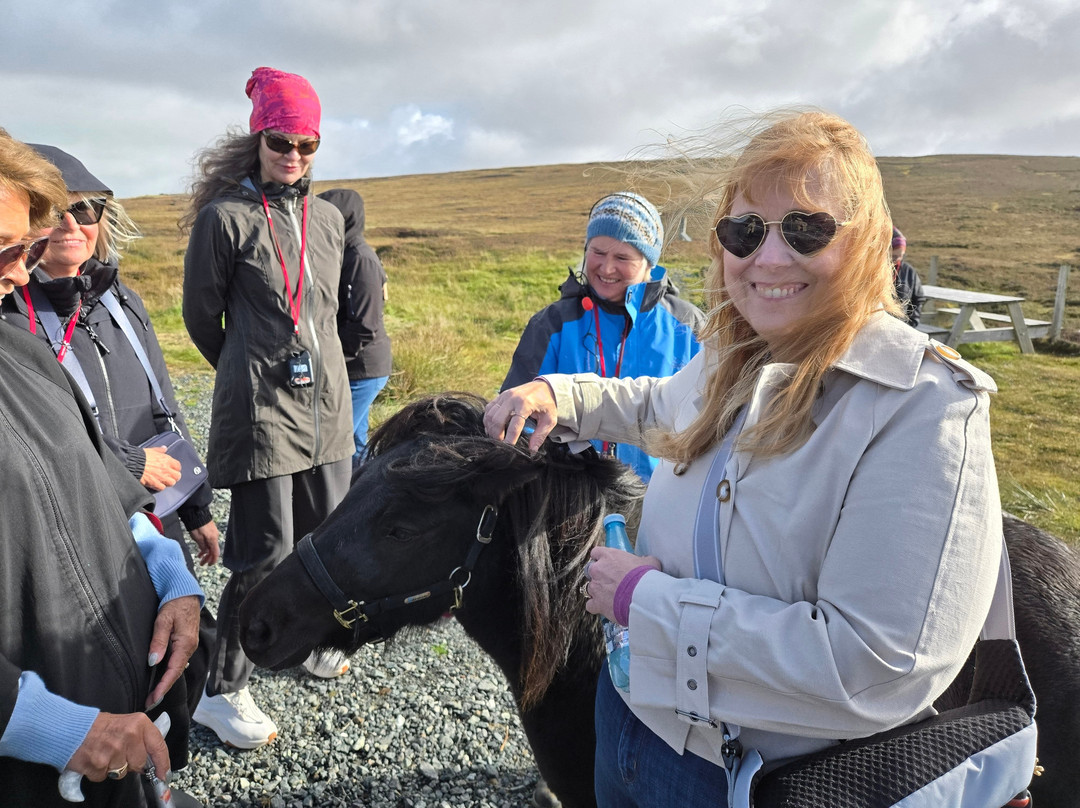 Shetland Rural Experience-Tingwall必去景点