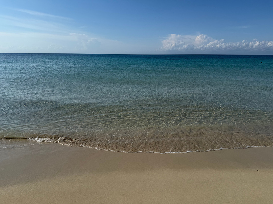 Papeete Salentino-Torre Pali必去景点