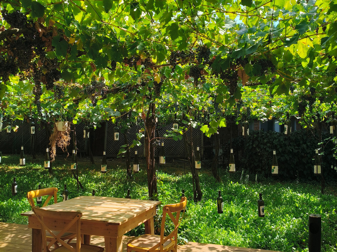 Alpeta Agrotourism & Winery-培拉特必去景点
