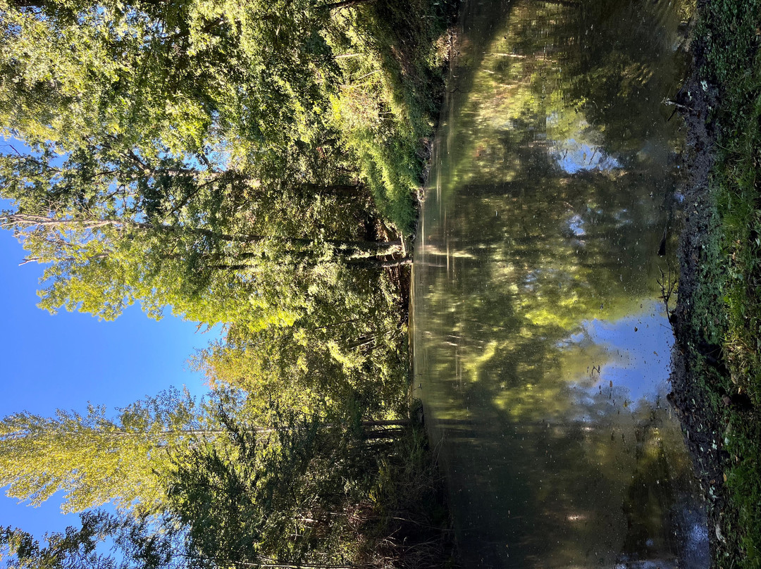 Le Secourieu