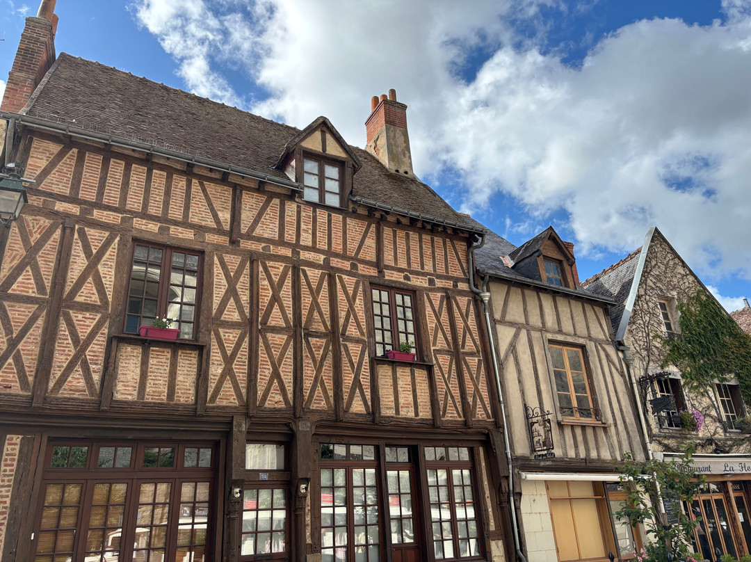 Riverloire - Loire Valley Day Tours-昂布瓦斯必去景点