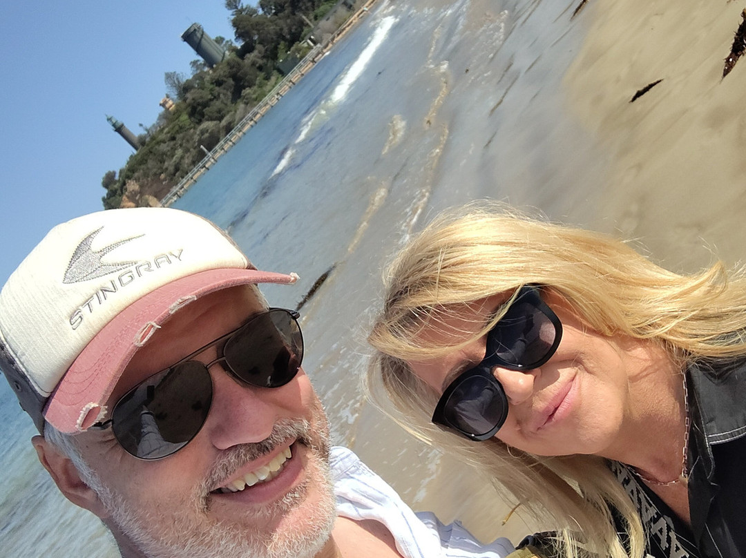 Lonsdale Palms