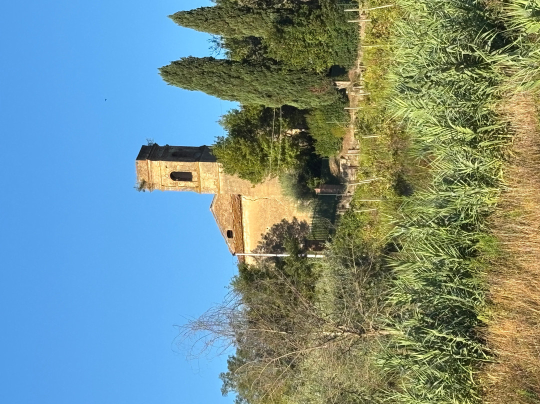 Hilton Grand Vacations Club at Borgo alle Vigne主图