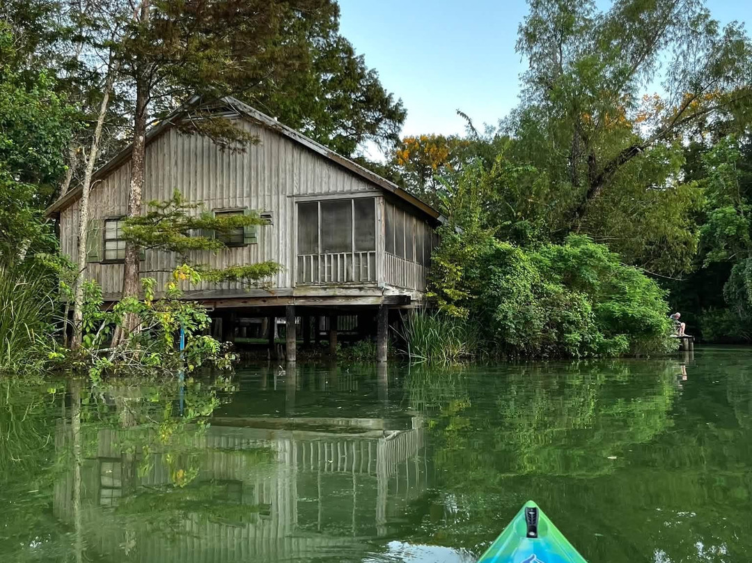 Lake Fausse Pointe State Park-Saint Martinville必去景点