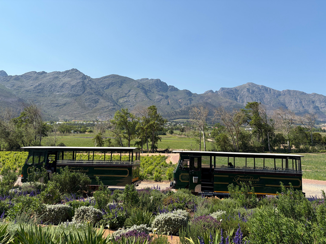 Franschhoek Wine Tram-法兰舒克必去景点