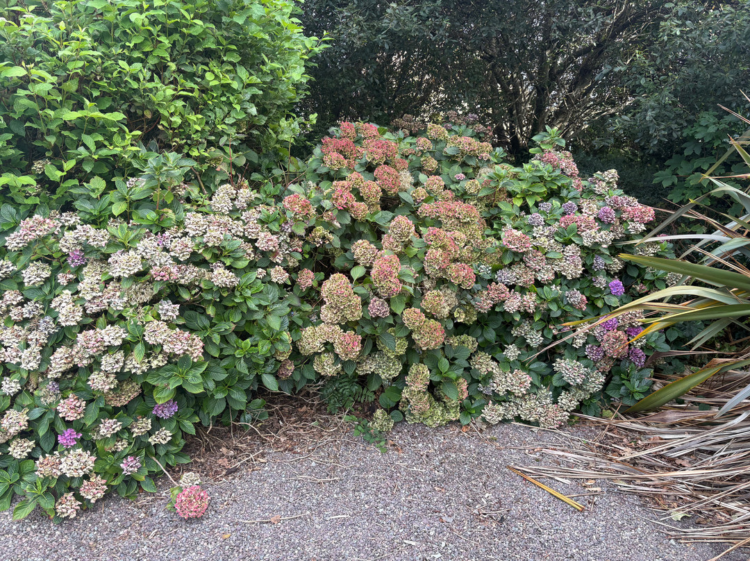 溪流庄园小屋主图