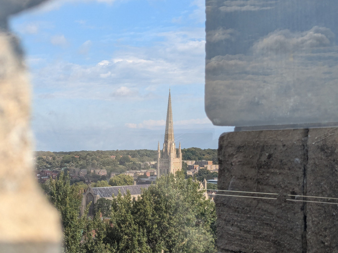 Norwich Castle Museum & Art Gallery-诺威奇必去景点