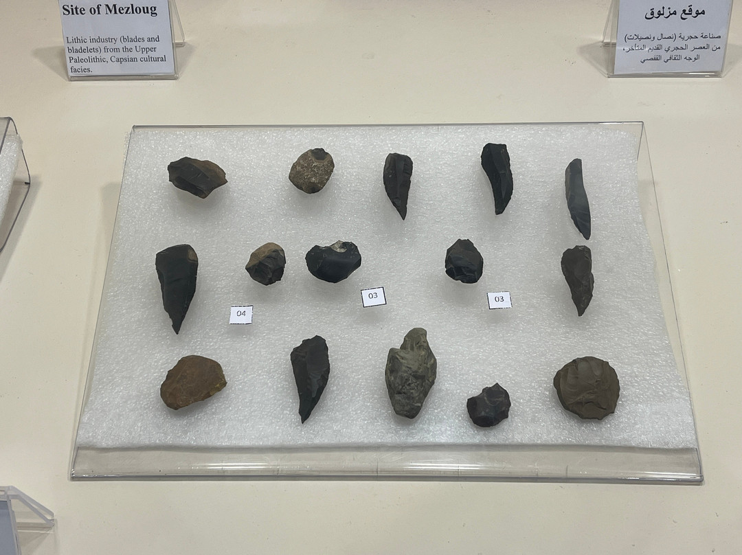 Setif Museum - Musée d'archéologie-Setif必去景点