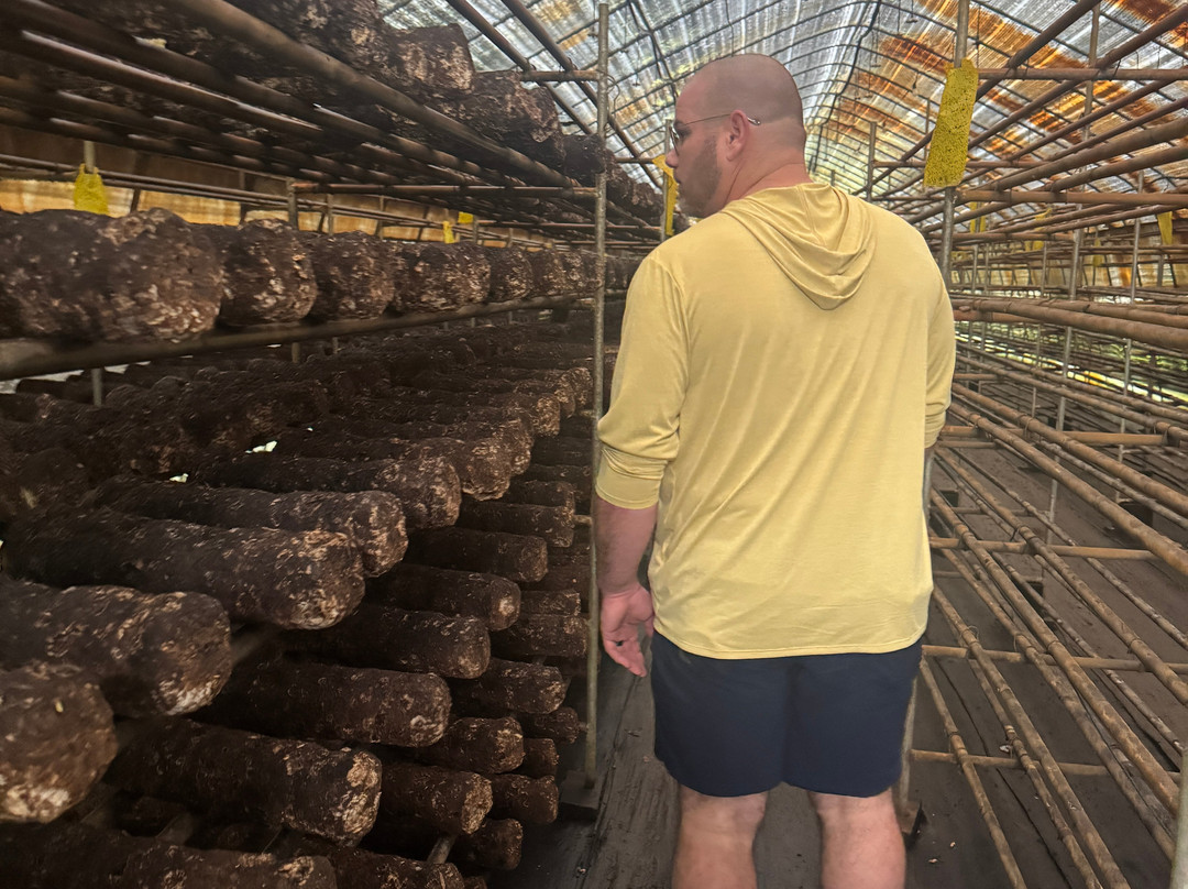 Ellijay Mushrooms - Farm Store-Ellijay必去景点