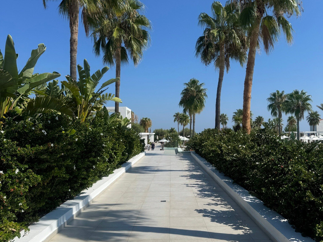 Grecotel LUXME Dama Dama主图