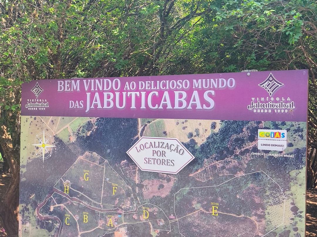 Vinicola Jabuticabal-Hidrolandia必去景点