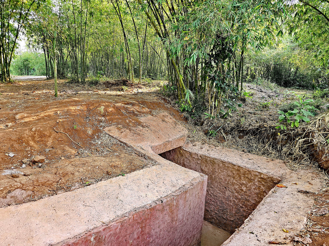 Vinh Moc Tunnel-Dong Ha必去景点