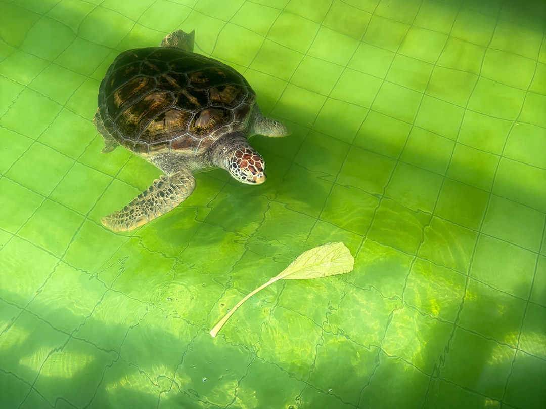 Eco Khao Lak Adventure - Private Day Tours-拉克山必去景点