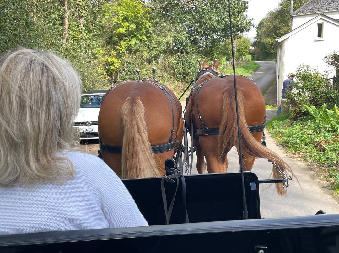 Middle Week Horse Drawn Farm-Ash Mill必去景点