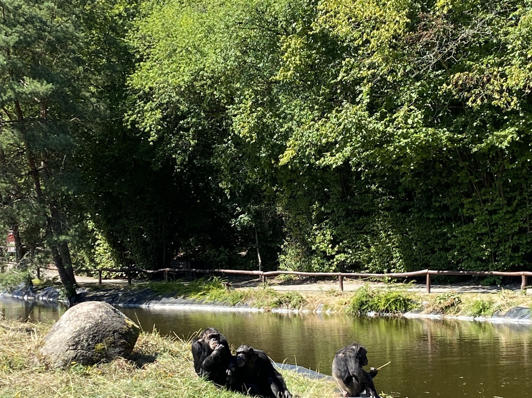 Serengeti-park Hodenhagen-Hodenhagen必去景点
