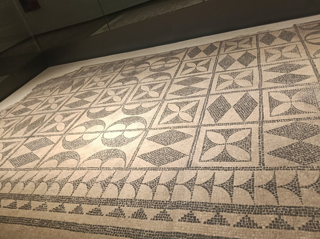CLASSIS RAVENNA - Museo della Citta e del Territorio-拉韦纳必去景点