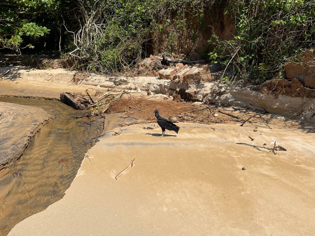 Praia das Pitas-Marataizes必去景点