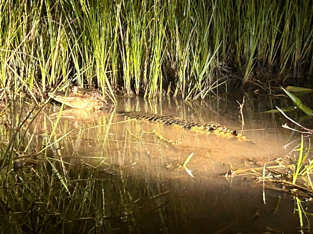 Ecolodge Flottant - Marais de Kaw-Regina必去景点