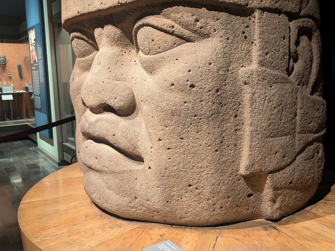 国家人类学博物馆 (Museo Nacional de Antropologia)-墨西哥城必去景点