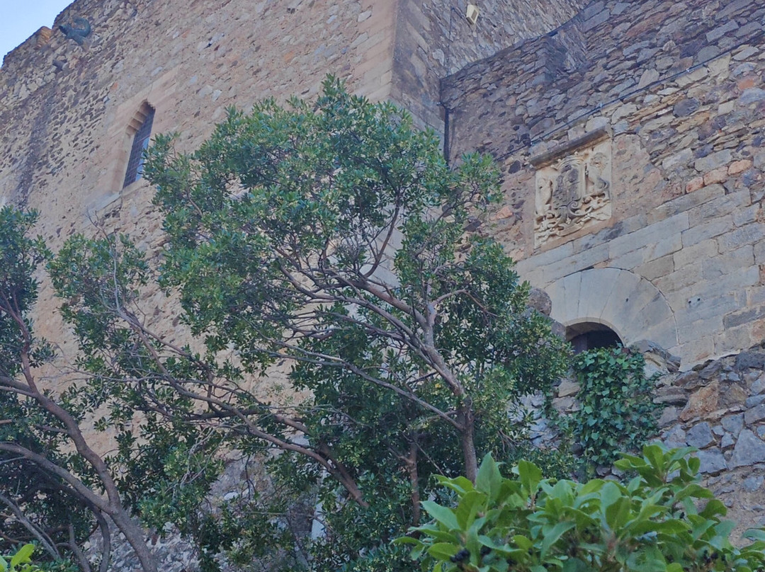 Château de Castelnou-Castelnou必去景点