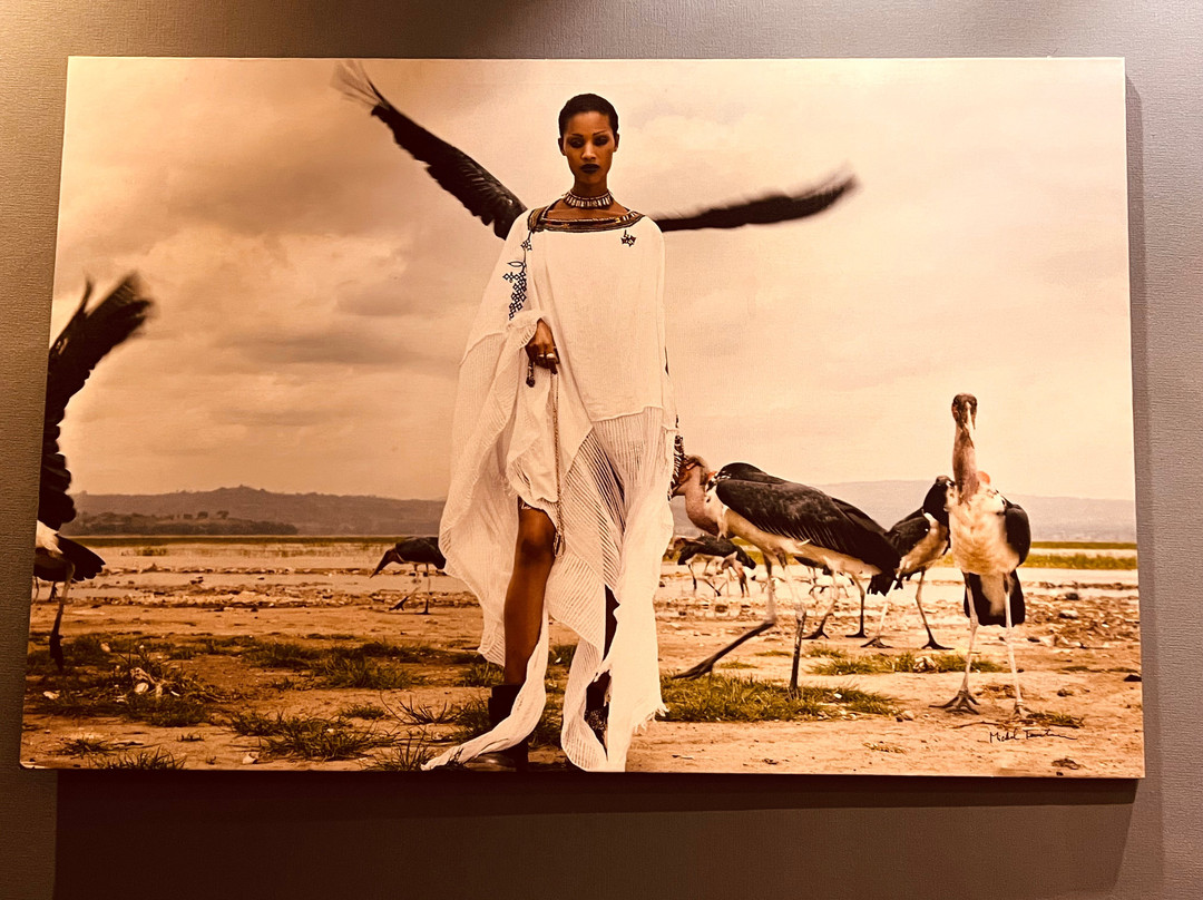 Plaza Premium Lounge - Addis Ababa Bole International Airport-亚的斯亚贝巴必去景点