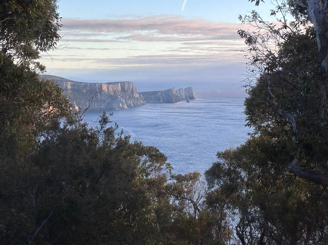 Three Capes Signature Walk by Tasmanian Walking Company-亚瑟港必去景点