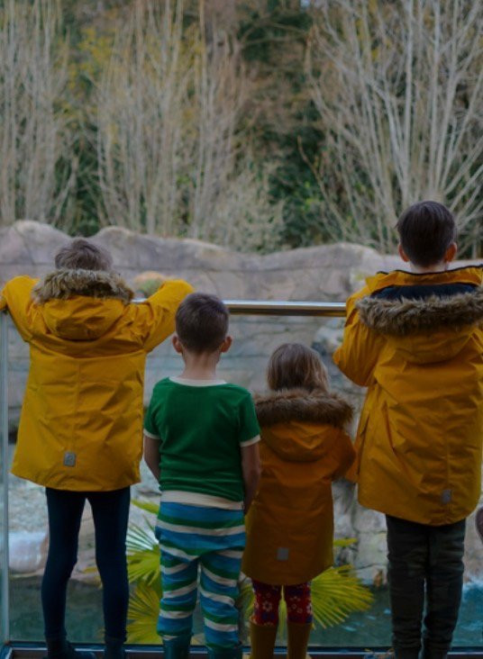 Colchester Zoo-科尔切斯特必去景点