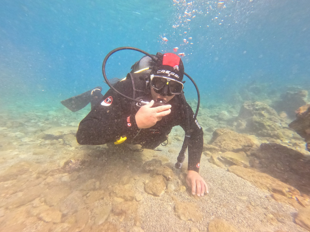 Paradise Dive Center-雷斯蒙必去景点