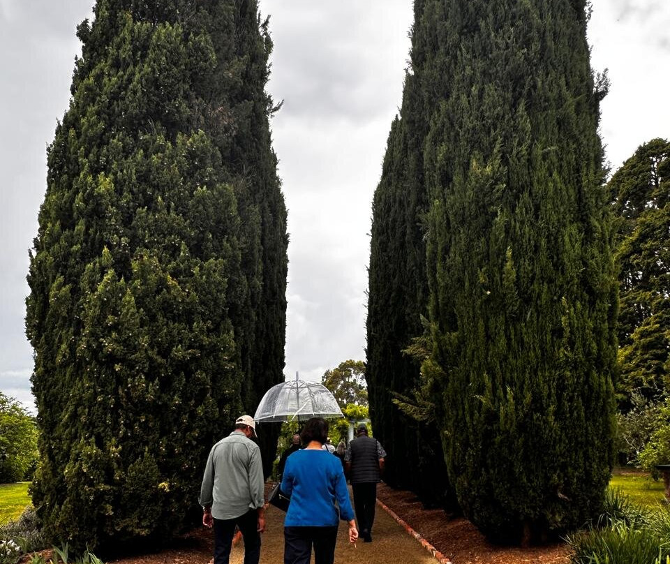 Coombe Yarra Valley-科尔德斯特里姆必去景点