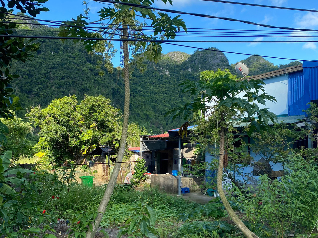 Lan Homestay主图