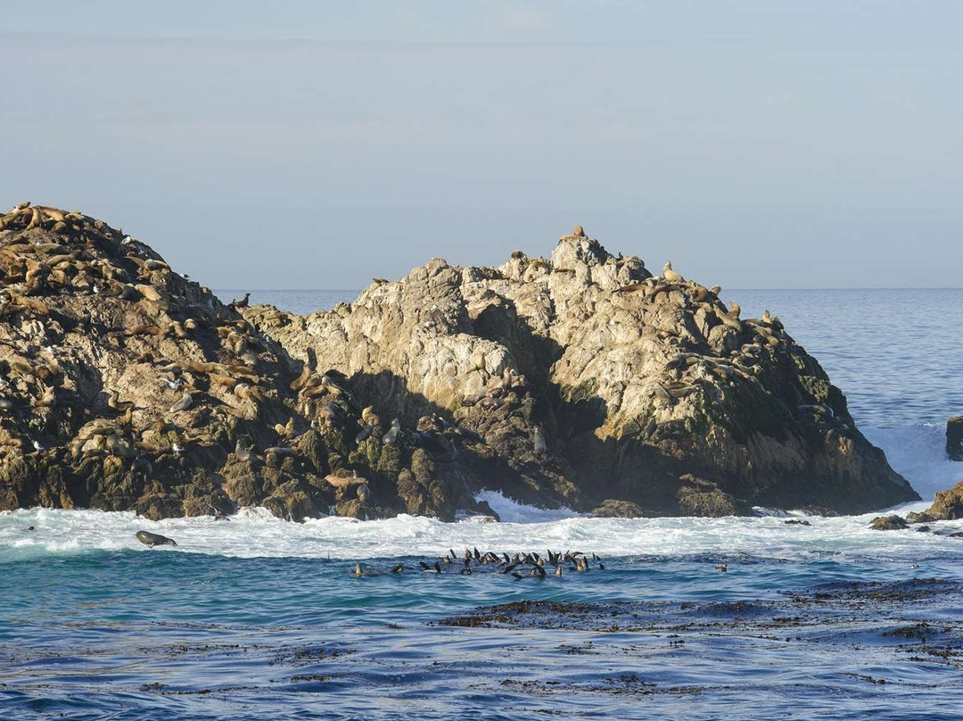 圆石滩别墅酒店主图