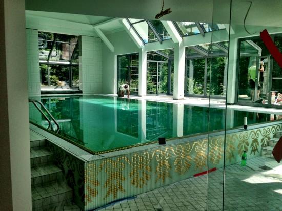 Mazowsze Spa-泳池