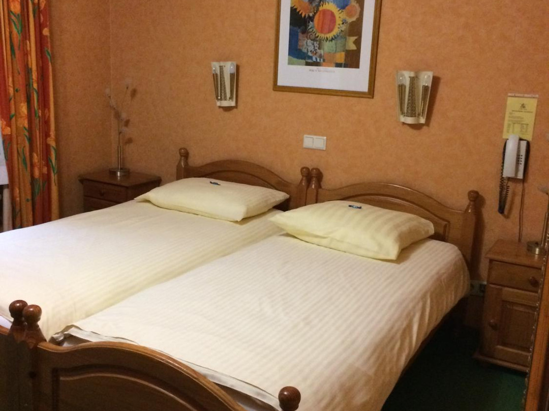 Saeul酒店住宿-Logis Hostellerie Val Fleuri