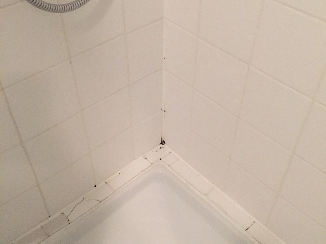 Residence Hoteliere Poincare