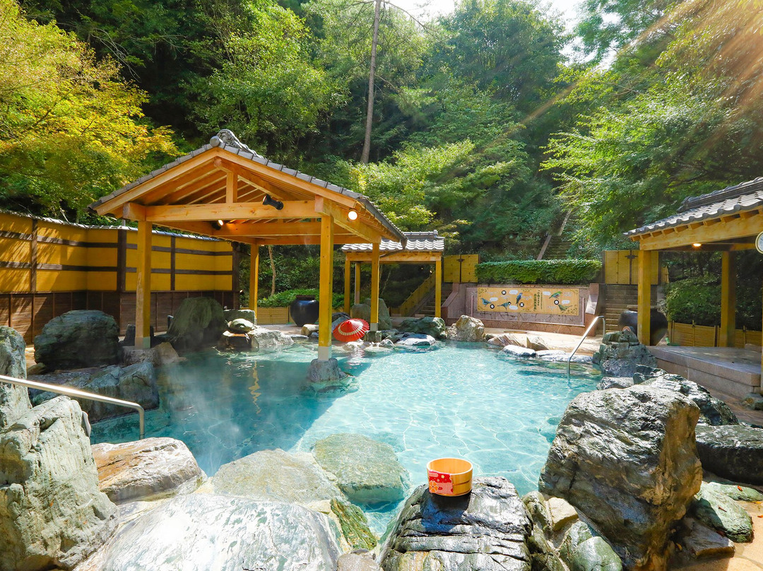 丸龟市酒店住宿-Ooedo Onsen Monogatari Hotel Reoma No Mori