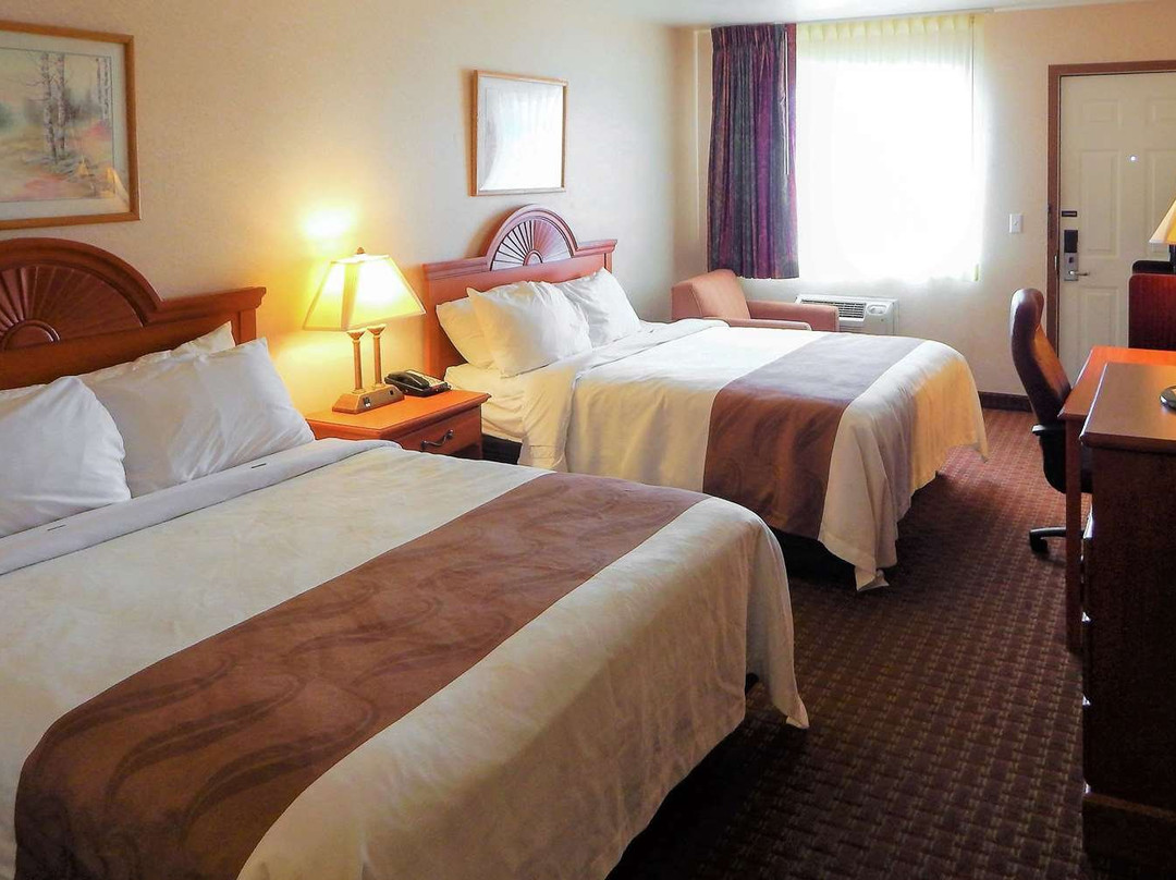 Spark by Hilton Sheridan主图