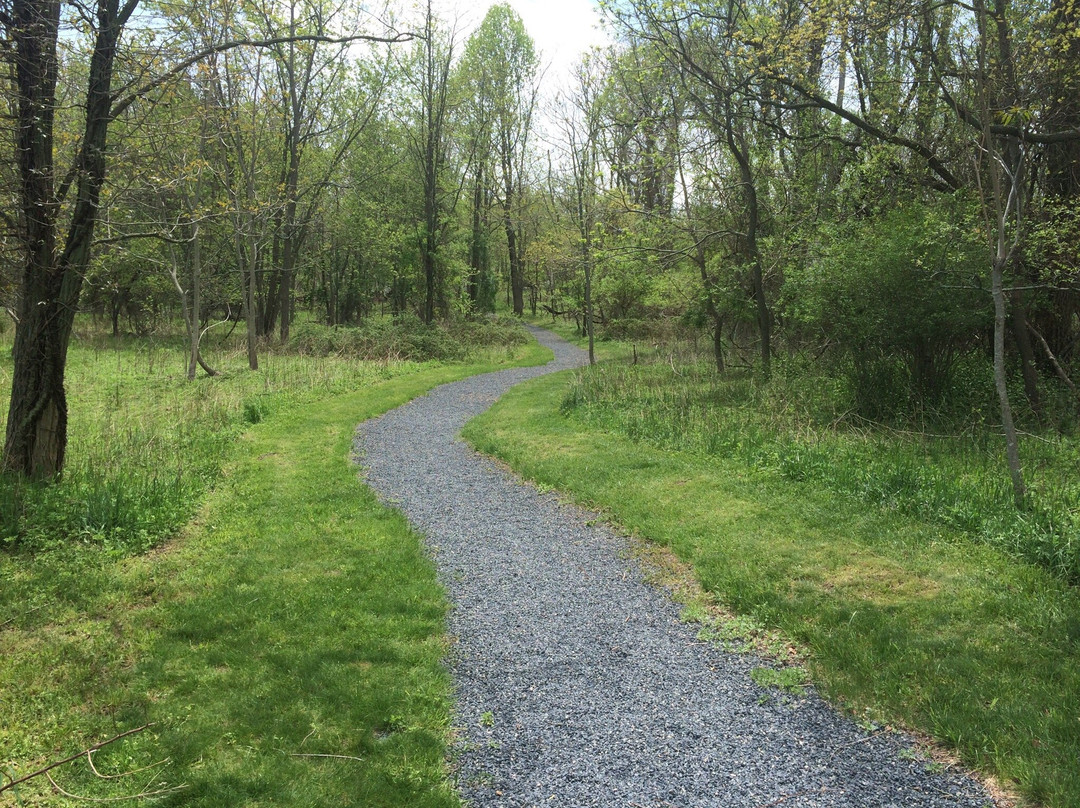 Husky Brook Park景点图片