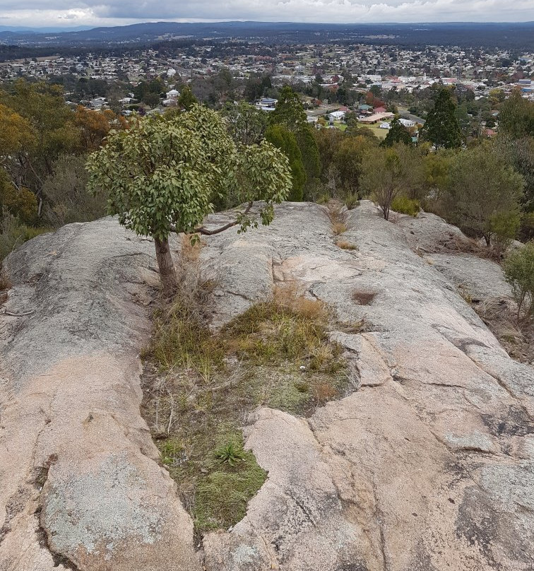 Mount Marlay Lookout景点图片