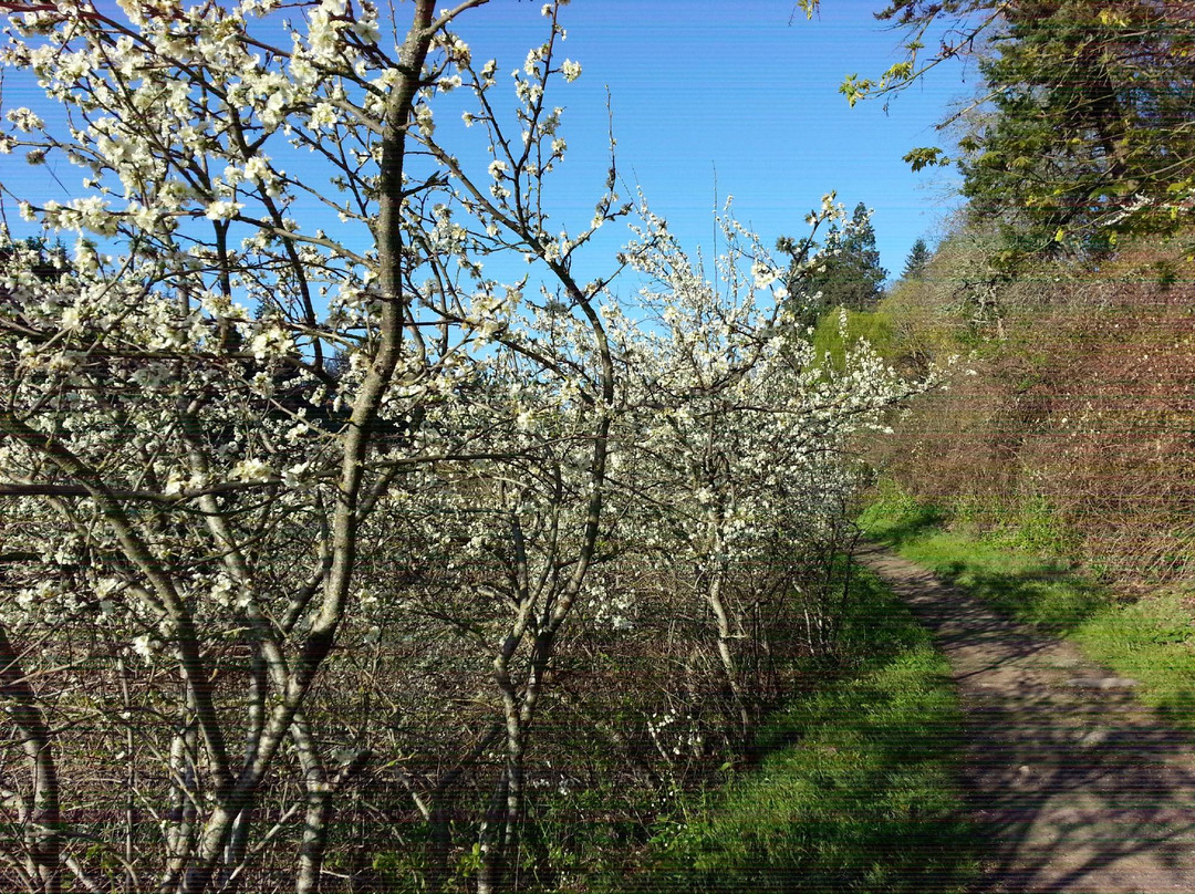 Indian Creek Trail-胡德里弗必去景点