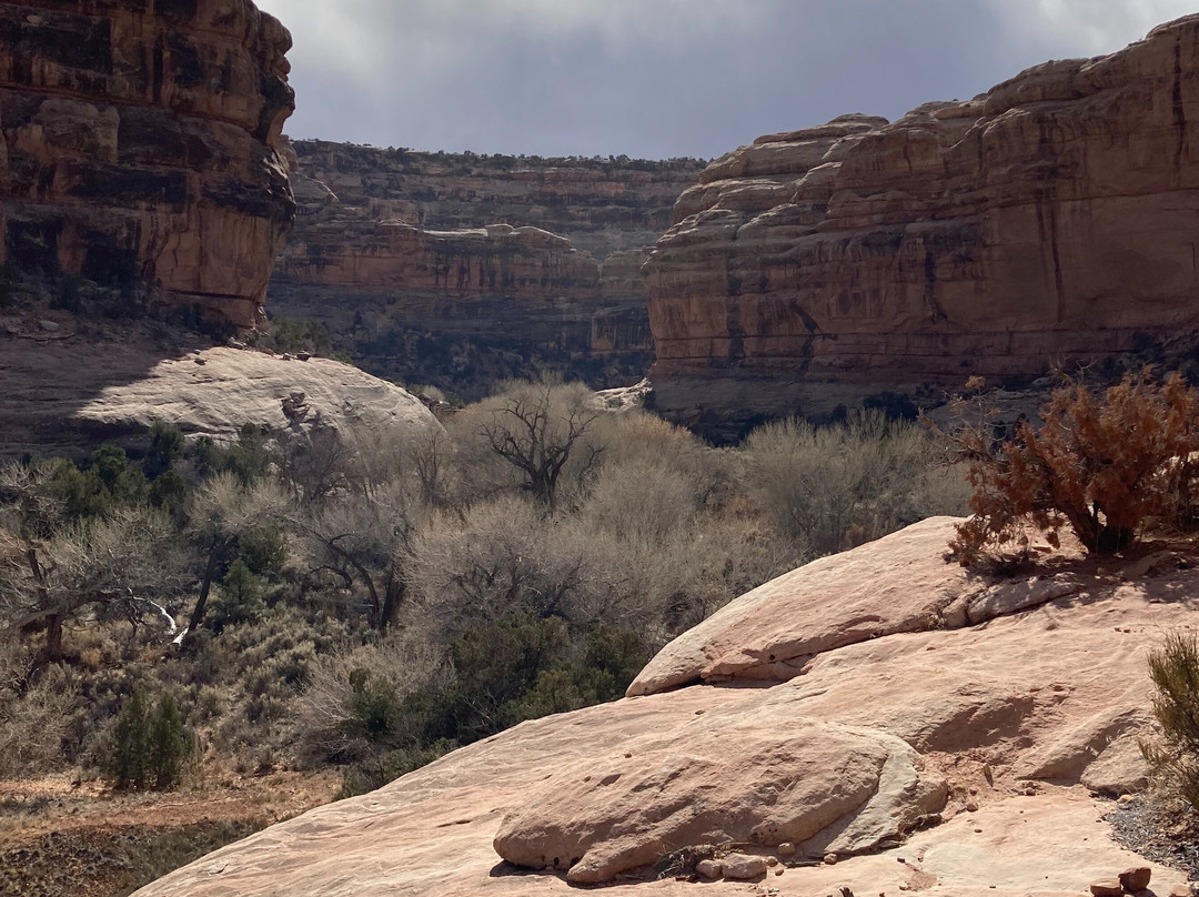 Ancient Wayves River and Hiking Adventures