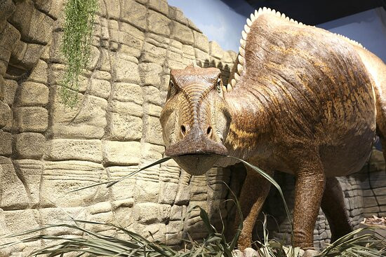 Ste. Genevieve Museum Learning Center-Sainte Genevieve必去景点